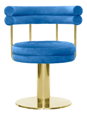 Patterson Dining Chair by Essential Home