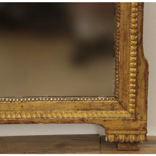 Antique 18th Century French Louis XVI Carved Giltwood Mirror With Birds, Wheat Sheaves & Floral Crest For Sale In New York - Image 6 of 10