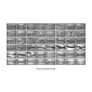 2006 Olafur Eliasson 'Jokla Series' Black & White Offset Lithograph