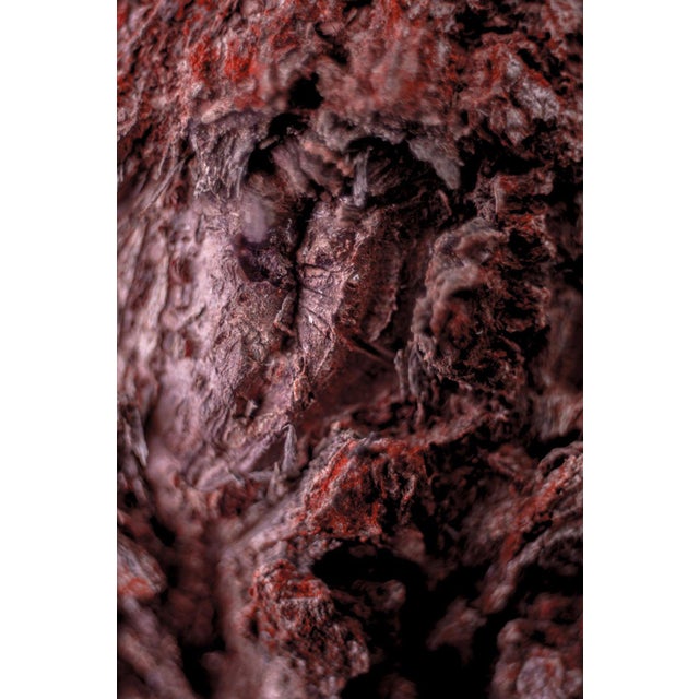 Early 21st Century Marko Milić, Cocoon, Abstract Photography For Sale - Image 5 of 5
