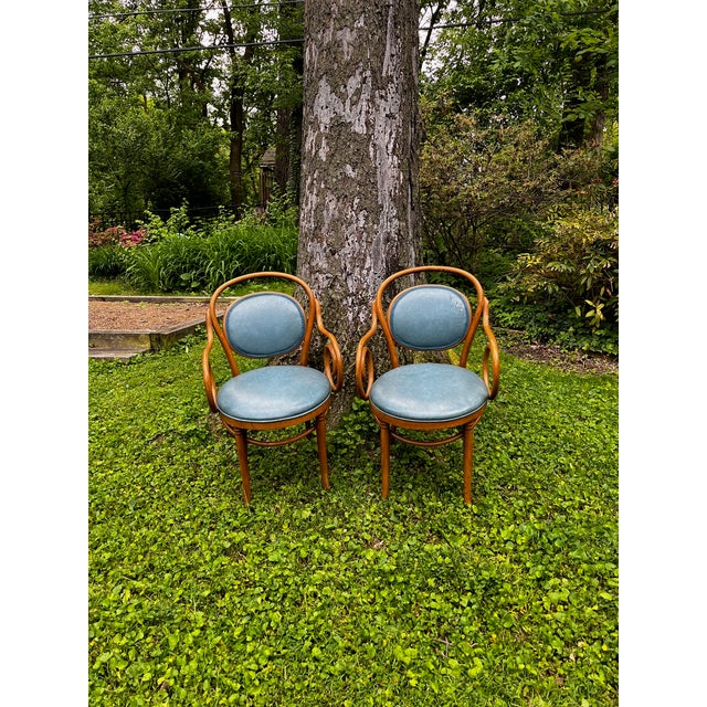 Mid 20th Century Mid-Century Thonet Style Bentwood Dining Room Armchairs - A Pair For Sale - Image 5 of 10