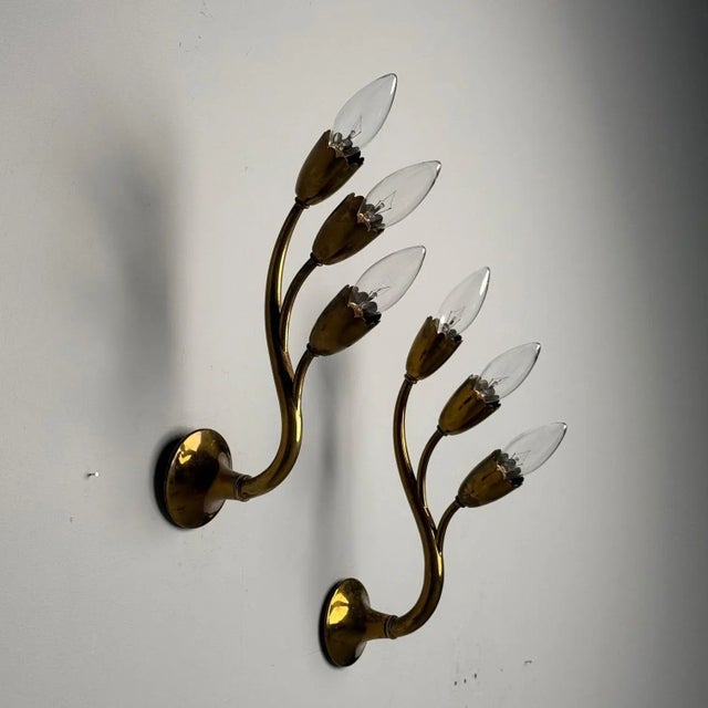Brass Gio Ponti Attr., Italian Mid-Century Modern, Wall Sconces, Brass, Flower Shape For Sale - Image 8 of 11