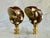 Spotted Shell Lamp Finials on Brass Hardware - a Pair For Sale - Image 9 of 9