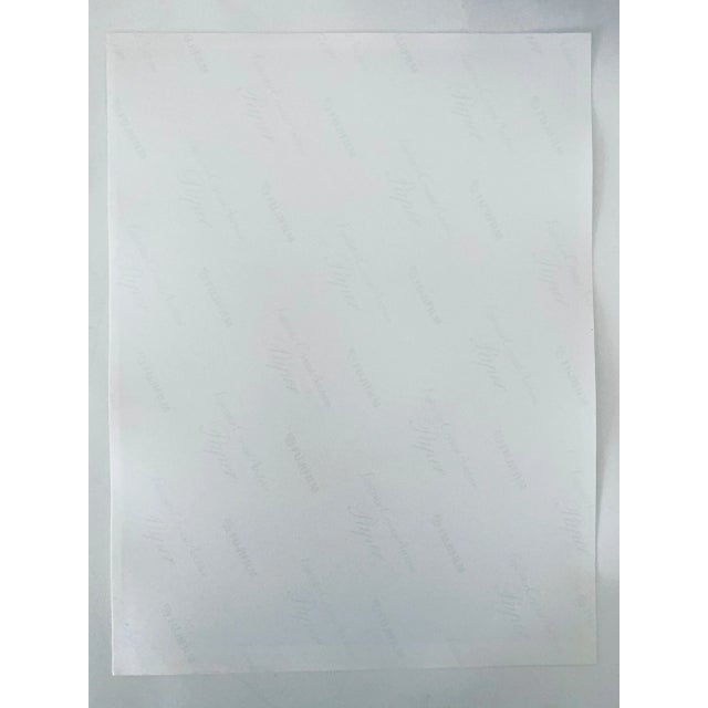 1990s Jeffrey Rothstein, Flora Fauna Series Vintage Color Photograph Abstract Flower Fuji Crystal Photo, c.1998 For Sale - Image 5 of 6