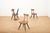 Chairs in Birch by Ilmari Tapiovaara for Laukaan Puu, 1955, Set of 4, in Worn conditions. Designed 1950 to 1959 This piece...