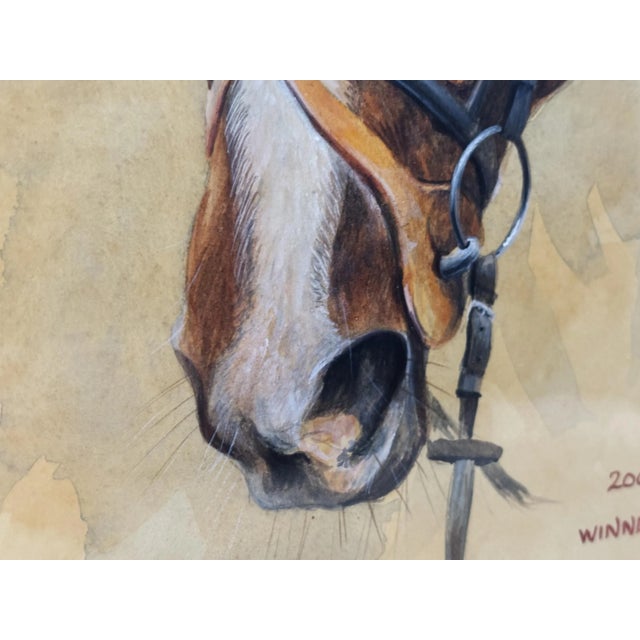 Contemporary 2000s "Napolitain" Vintage French Equestrian Watercolor Horse Painting by Martin Alford For Sale - Image 3 of 11