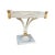 Italian Mid 20th Century Vintage Italian With Clear Patina Accent Table For Sale - Image 3 of 5