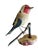 Folk Art Austrian Folk Art Carved Wood Bird #73, 1930s For Sale - Image 3 of 5