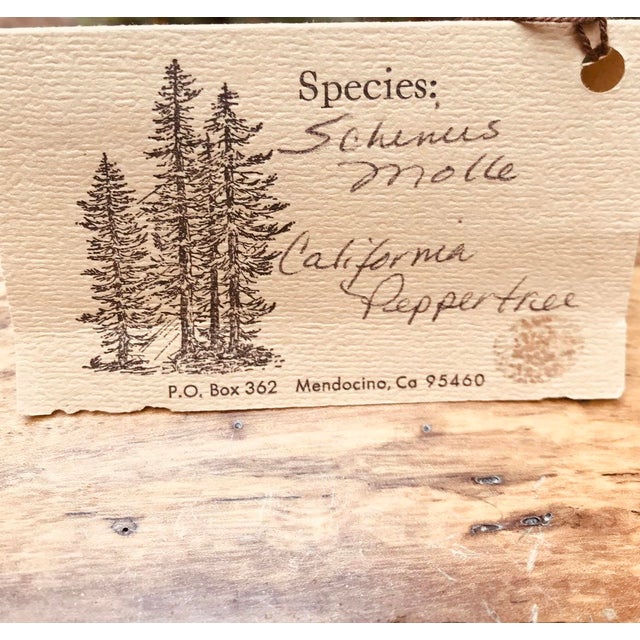 Wood Mid-Century Modern California Pepper Tree Box With Drawer For Sale - Image 7 of 8