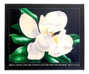 Brian Davis Vintage 1982 Botanical Collotype Print Ucla Exhibition Poster " Magnolia Blossom "