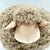 2020s Plush Lambskin Sheep Ball - Beige For Sale - Image 5 of 5