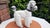 Ceramic Vintage Italian Porcelain Dog, 1970s For Sale - Image 7 of 8