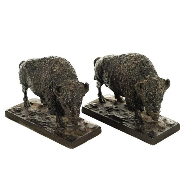 Antique Bronze Buffalo Bookends A Pair Chairish