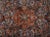 Middle Eastern Rug in Ghoum Silk with Wool For Sale - Image 3 of 10