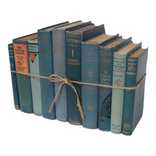Decorative Books - Vintage Marlin Book Bundle - Blue Books by the Foot For Sale