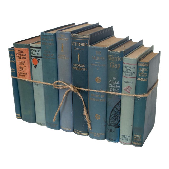 Decorative Books - Vintage Marlin Book Bundle - Blue Books by the Foot For Sale