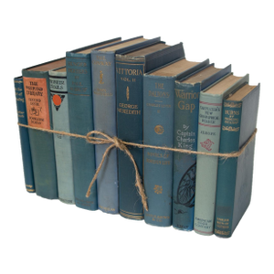 Decorative Books - Vintage Marlin Book Bundle - Blue Books by the Foot