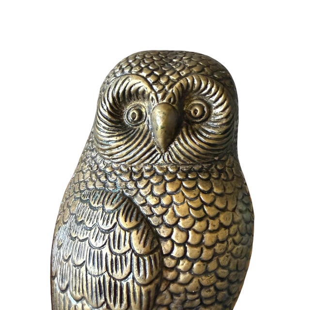 Heavy Brass Owl Burrowing Ground Bird Etched Statue Heavy Brass Owl Etching & Engraving Details Great for office, study,...