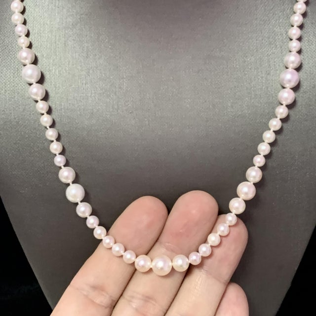 2010s Akoya Pearl Necklace 14k Yellow Gold Certified For Sale - Image 5 of 11