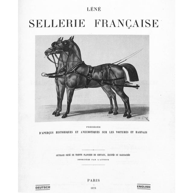 "La Sellerie Francaise Et Etrangere" 1986 Lene For Sale - Image 4 of 8