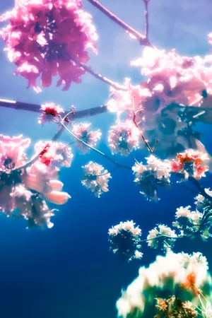 Meeting You in the Garden, Limited Edition Photograph by Kristin Hart