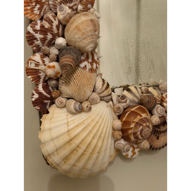 Antique Mirror With Shells For Sale - Image 10 of 12