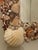 Antique Mirror With Shells For Sale - Image 10 of 12