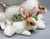 2000 - 2009 Farmhouse Fitz & Floyd Botanical Bunny Rabbit Family Ceramic Cookie Jar – Cottagecore / Spring For Sale - Image 5 of 18