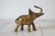Vintage Brass Elephant For Sale - Image 4 of 8