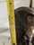 Vintage Egyptian Revival Griffin Sphinx Table Lamp With Black Metal Shade For Sale - Image 10 of 10
