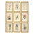 Set of 9 Original 1842 Curtis Botanical Prints in Ornate Gold-Leaf Gesso Matting – Framed For Sale