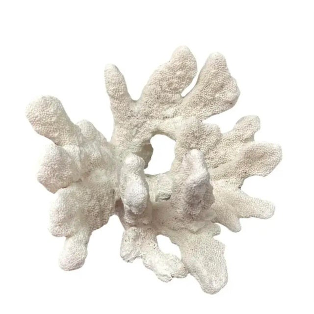 Large Natural White Coral Reef Specimen #4 For Sale - Image 4 of 9