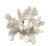 Large Natural White Coral Reef Specimen #4 For Sale - Image 4 of 9