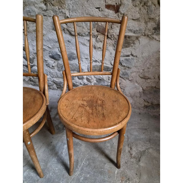 Vintage Bentwood Bistro Chairs from Fischel, Czechoslovakia, 1940s, Set of 4 For Sale - Image 13 of 18