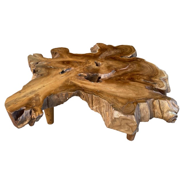Impressive reclaimed four inch thick teak root coffee table. The top is polished with a natural oil finish and the sides...
