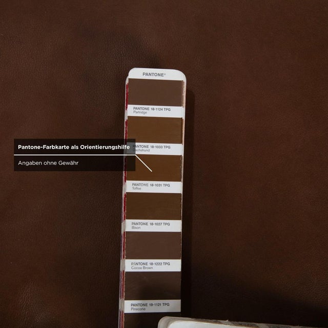 Brown Leather Alessiio Stool in Brown Mocha from Willi Schillig For Sale - Image 8 of 11