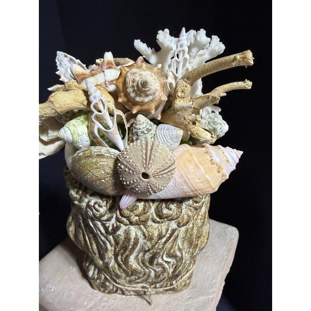 Celestial Meets the Sea-Shell Encrusted Bust-Coastal Art Sculpture For Sale - Image 11 of 11