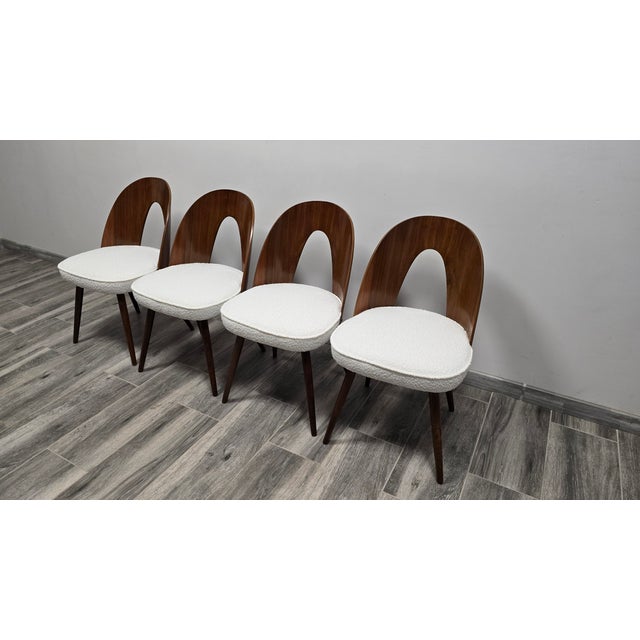 1960s Dining Chairs from Antonin Suman, 1960s, Set of 4 For Sale - Image 5 of 10