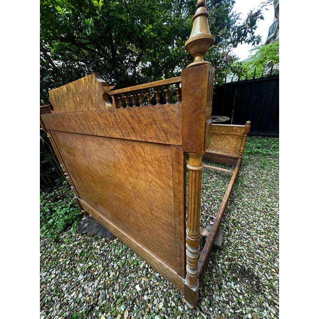 Louis Philippe Style Bed in Burr Wood, 1800s For Sale - Image 13 of 18