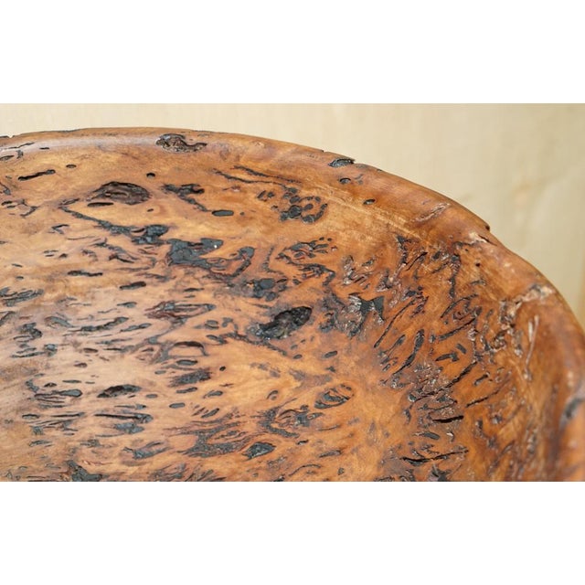 Large Burred Eucalyptus Bowl from B Moss For Sale - Image 9 of 15