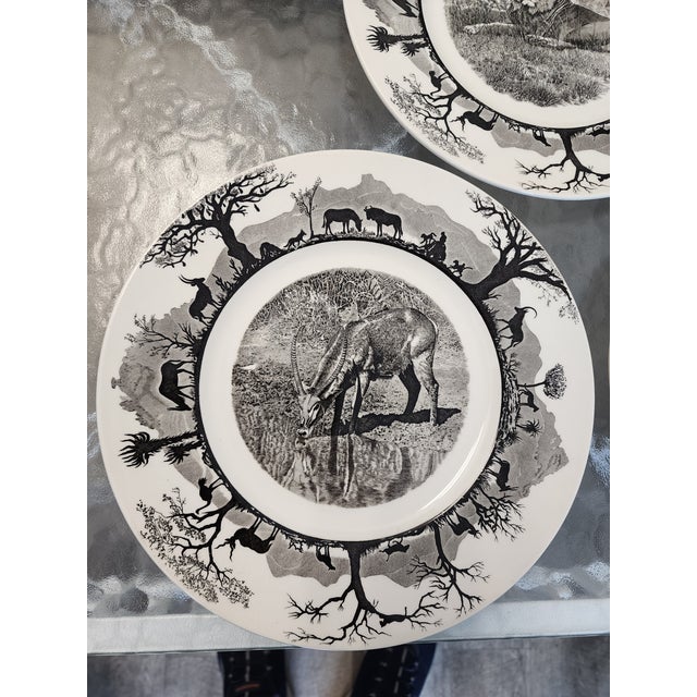 Mid 20th Century Wedgwood Etruria Kruger National Park Jungle Animal Dinner Plates - Set of 5 For Sale In New York - Image 6 of 12