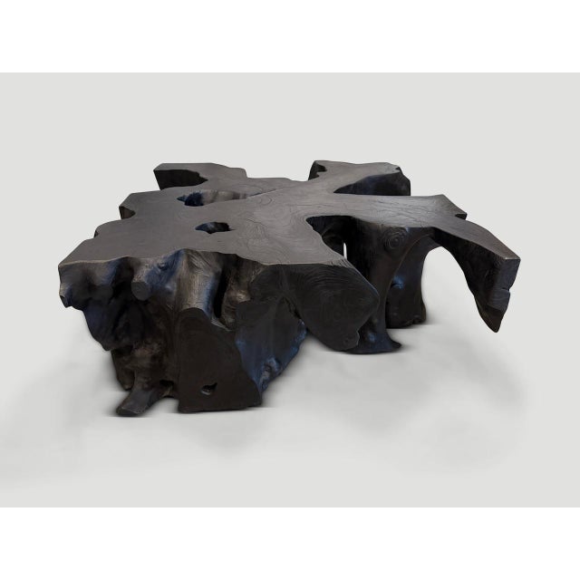 Andrianna Shamaris Organic Teak Wood Root Coffee Table For Sale - Image 13 of 18
