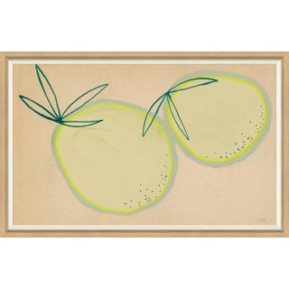 Osage Orange Framed Art Print by Susan Hable For Sale
