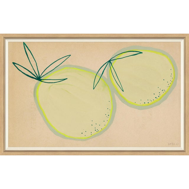 Osage Orange Framed Art Print by Susan Hable For Sale