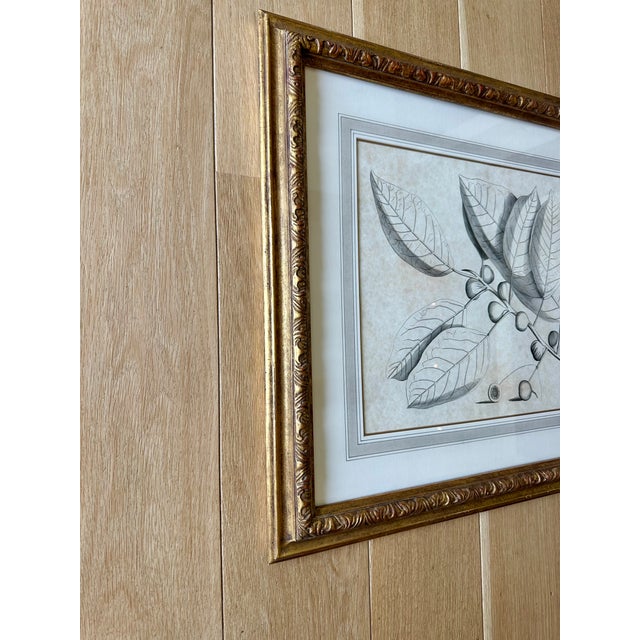 Dennis & Leen Botanical Print With Gilded Frame – DL-Art 31 For Sale - Image 4 of 8