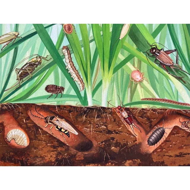 1980s Original Ecotoxicology Illustration "Creepy Crawly Pop-Art" Circa 1981 Bugs Insects For Sale - Image 5 of 9