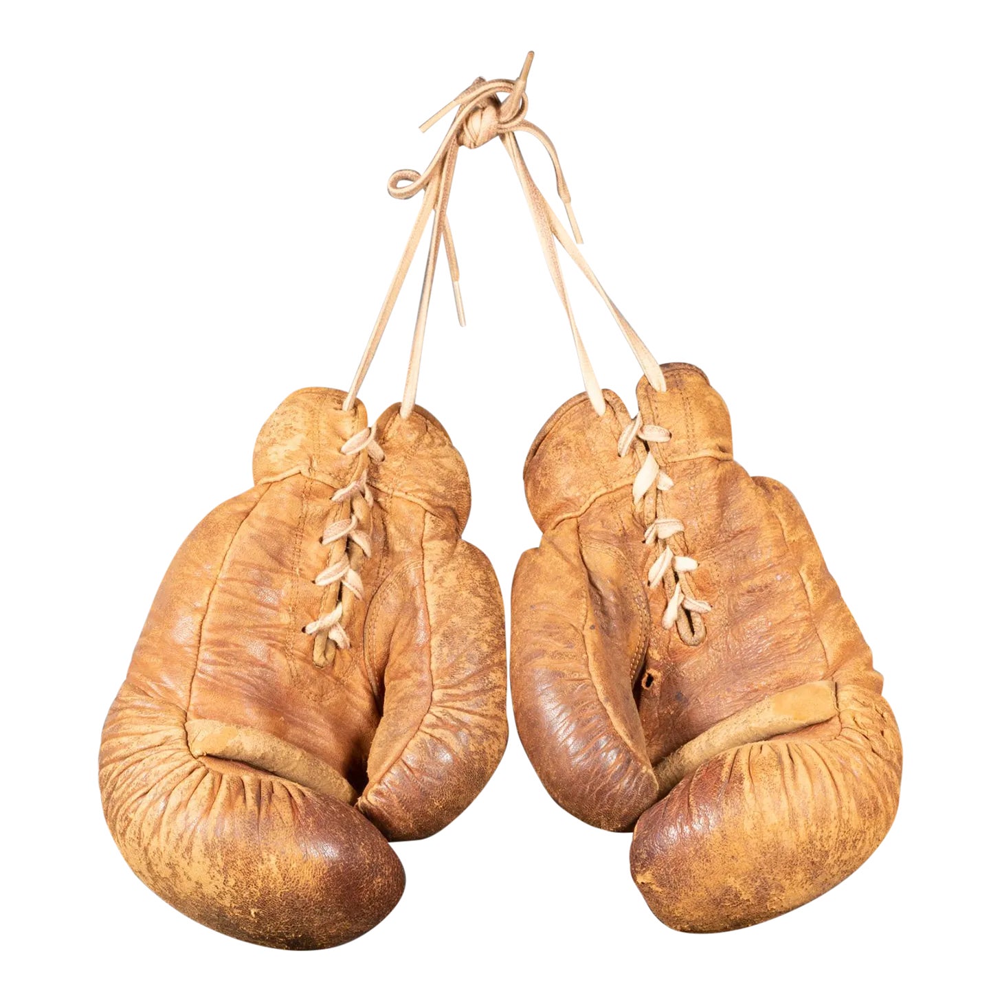 Portrait Vintage Pomeranian Boxing Gloves