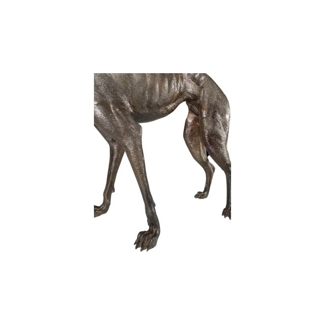 1950s Vintage Bronze Whippet Dog Sculpture For Sale - Image 5 of 12