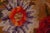 Early 20th Century Russian Bessarabian Floral Handmade Wool Rug For Sale - Image 4 of 8