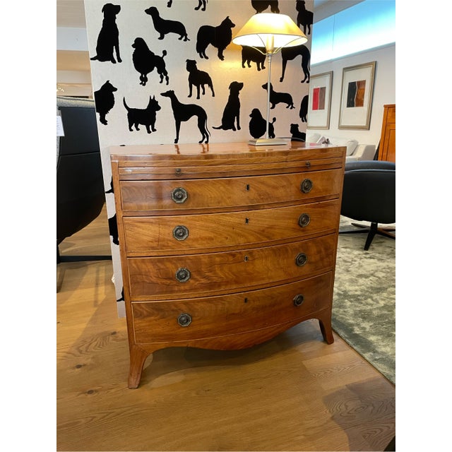 Wood Bowfront Chest of Drawers in Mahogany For Sale - Image 7 of 7
